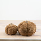 Soft Brown Pumpkin