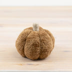 Soft Brown Pumpkin