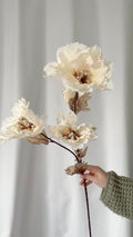 Neutral poppy stem