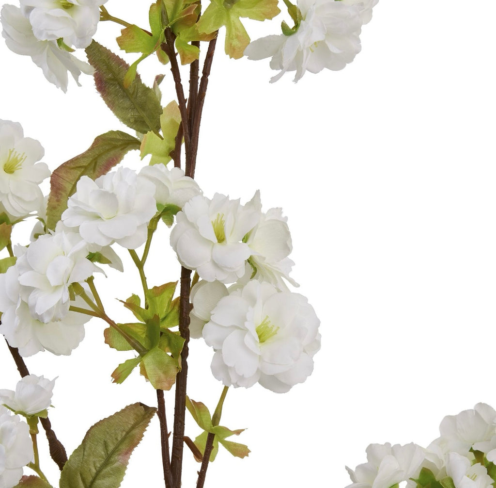 White blossom stem