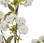 White blossom stem