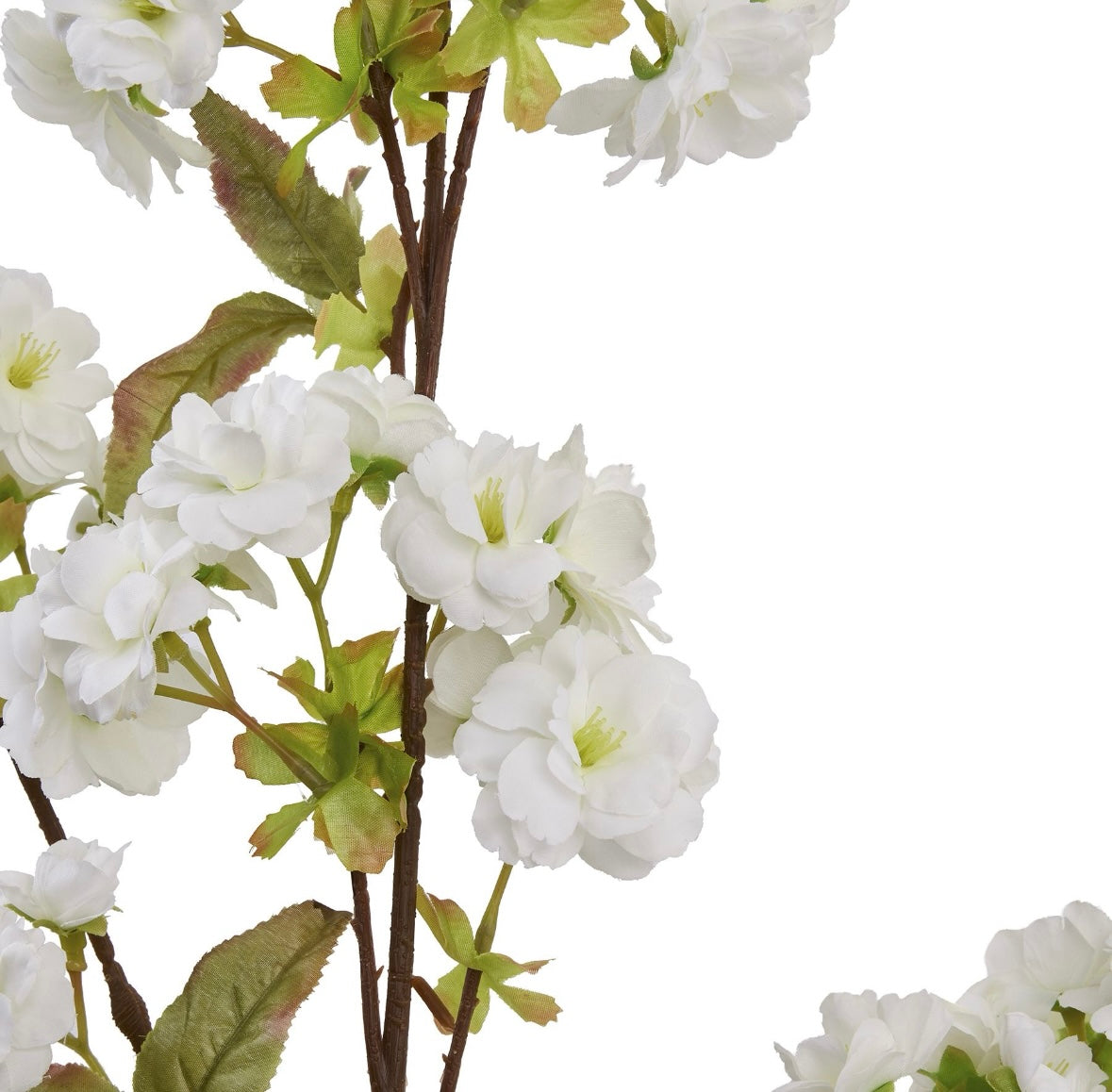 White blossom stem