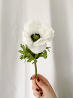 Anemone Stem