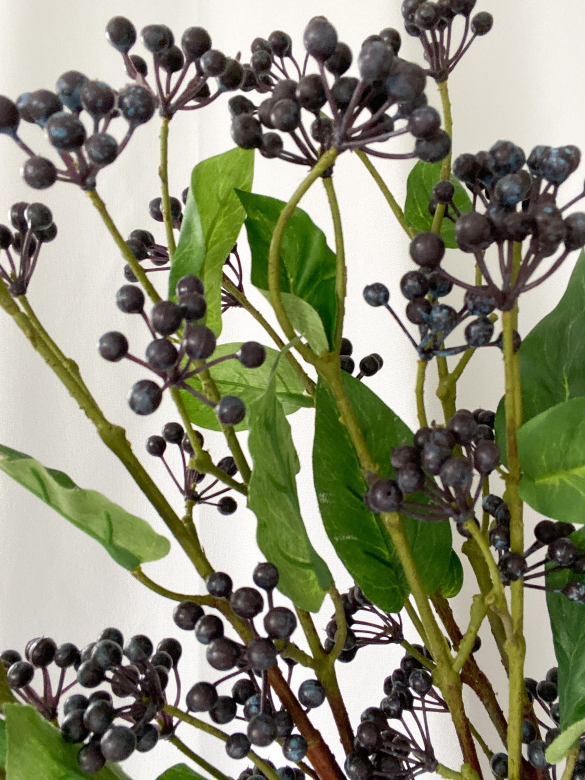 Viburnum Berry