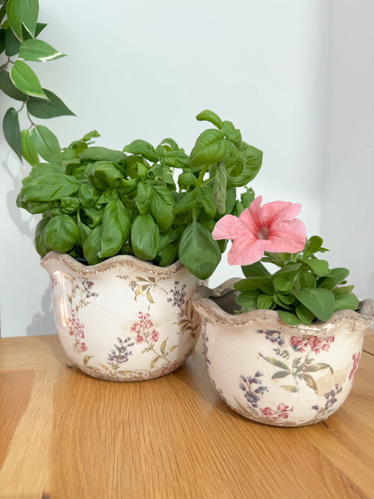 Scallop edge floral planter small
