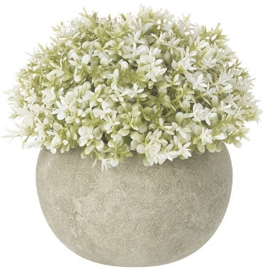 White plant in stone pot