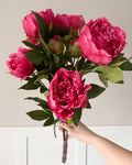Pink peony bush