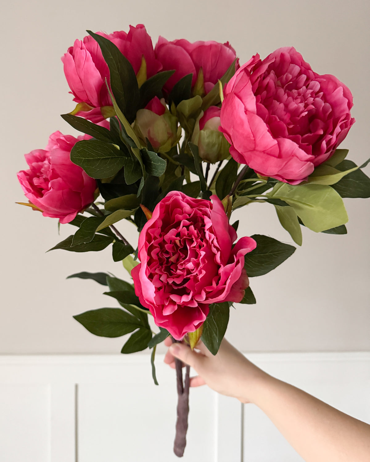 Pink peony bush