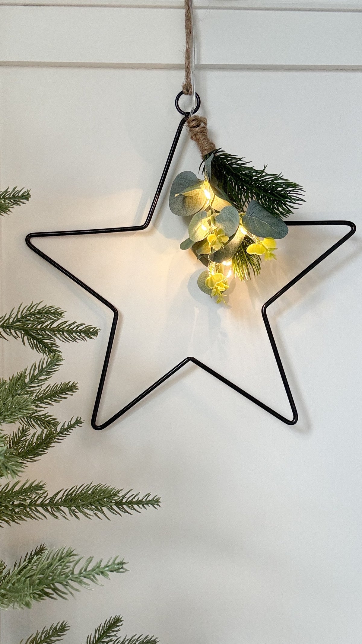 Black wire LED star with pine needles and eucalyptus