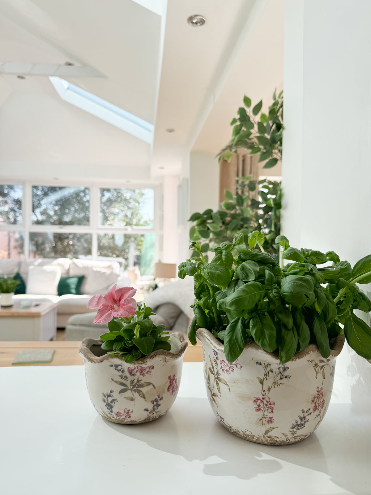 Scallop edge floral planter large