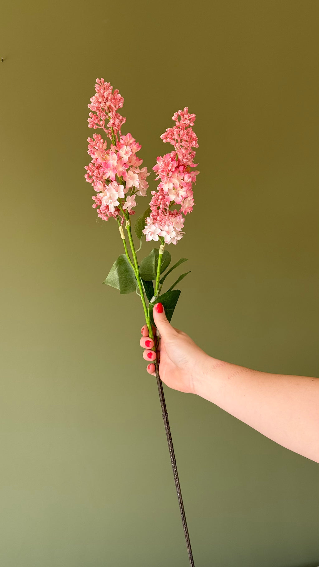 Pink lilac spray