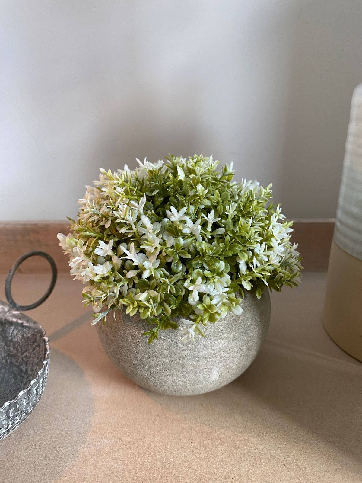 White plant in stone pot