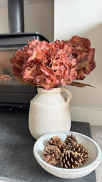 Autumnal Hydrangea stem