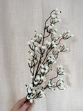 Snow berry stem