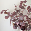 Burgundy Eucalyptus with berries