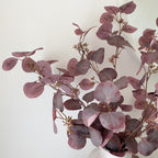 Burgundy Eucalyptus with berries