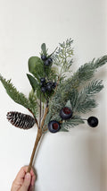 Blueberry festive pick