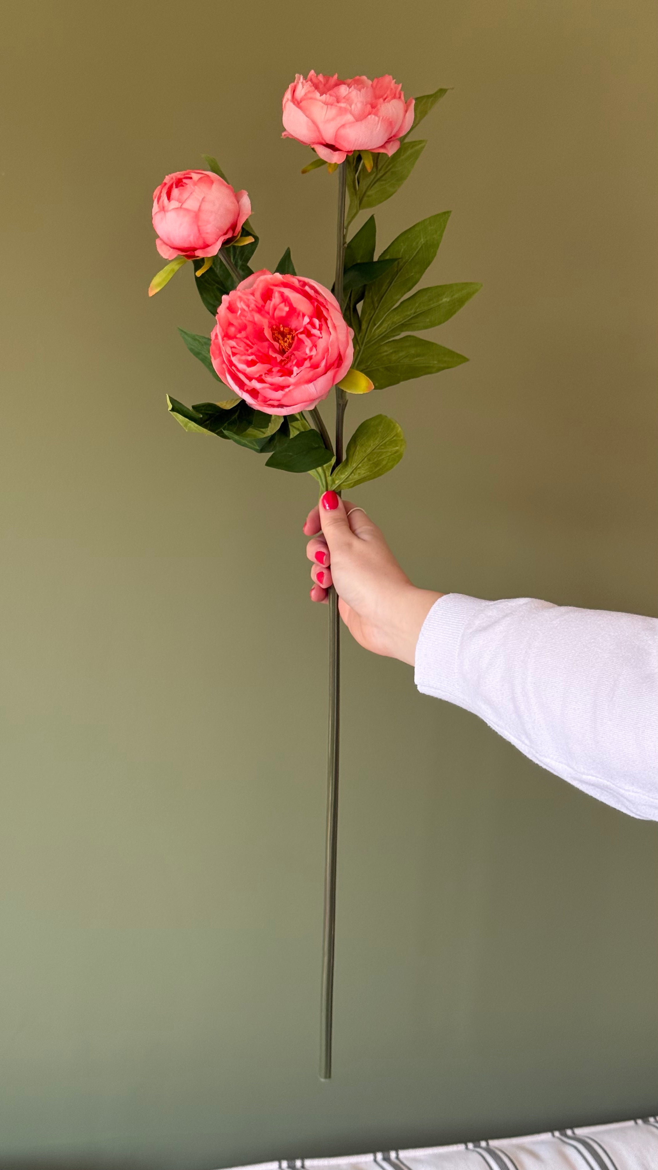 Coral peony spray with 3 flowers
