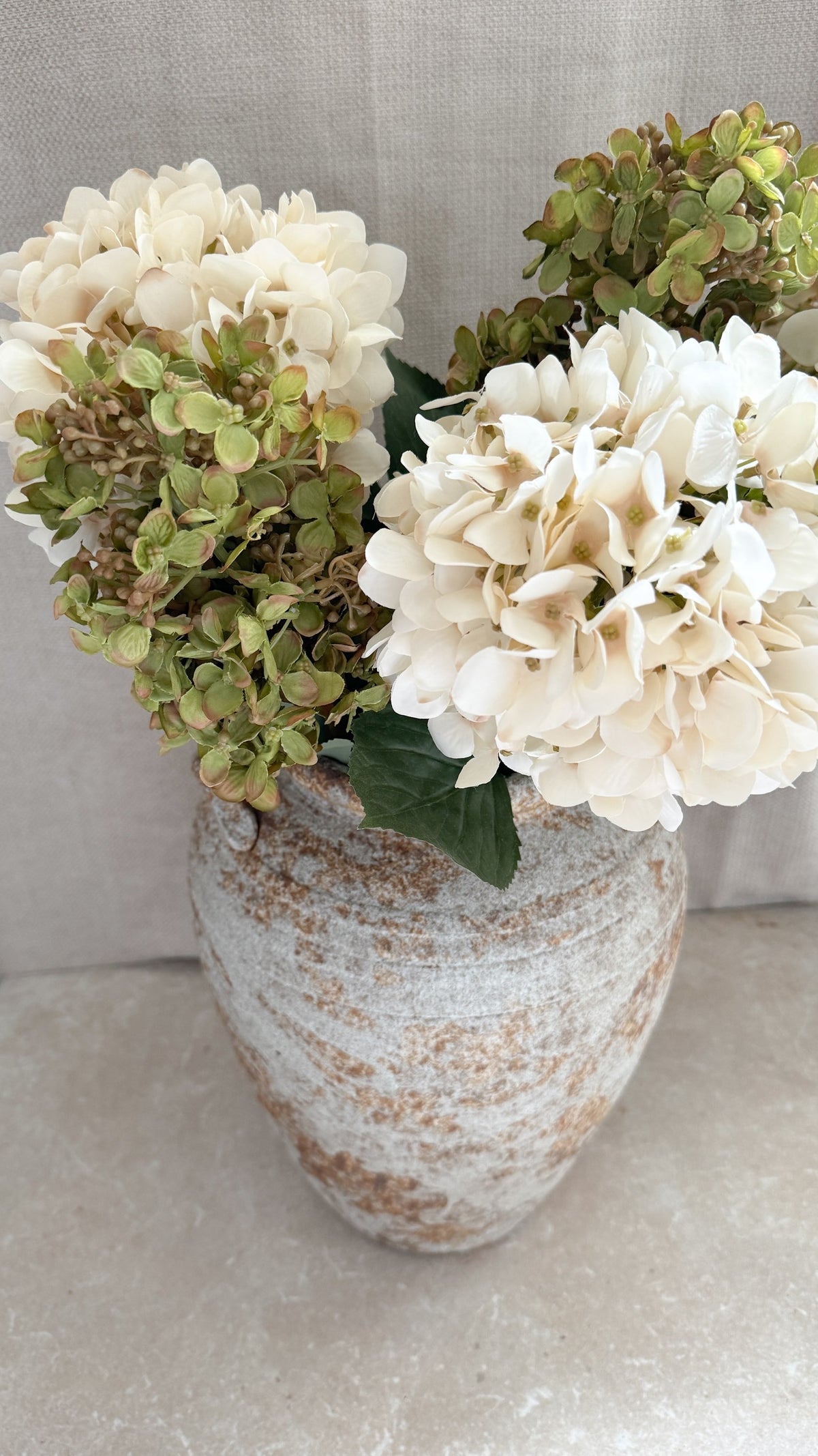 Green Spear Hydrangea stem