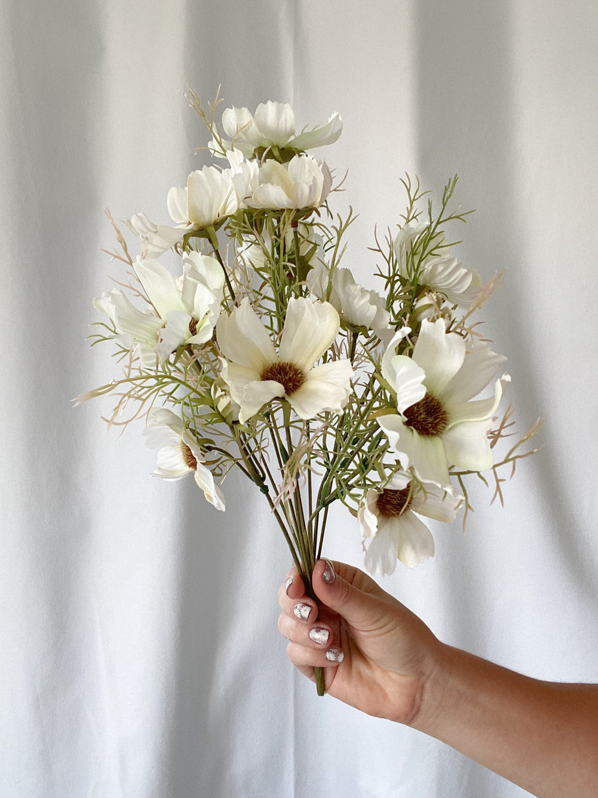 Cream cosmos spray