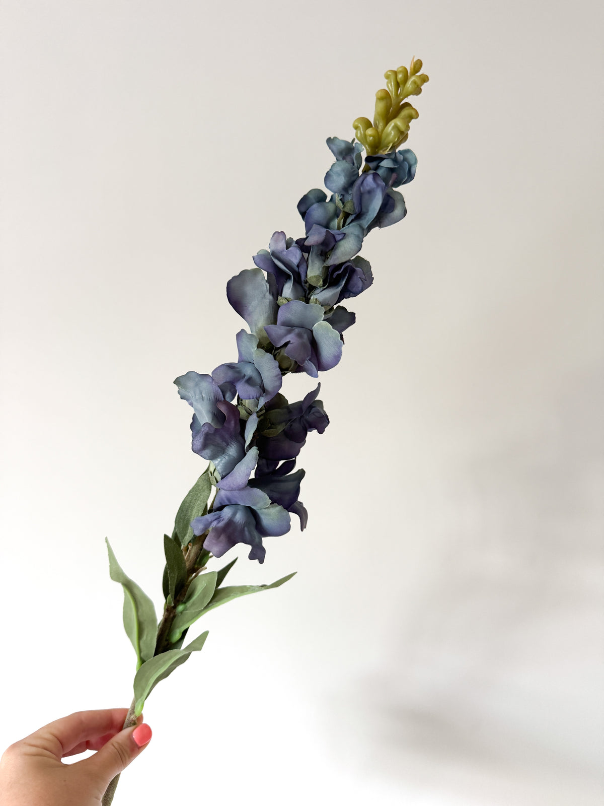 Blue snapdragon stem