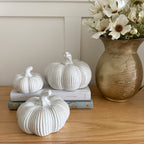 Neutral ribbed ceramic pumpkin - large