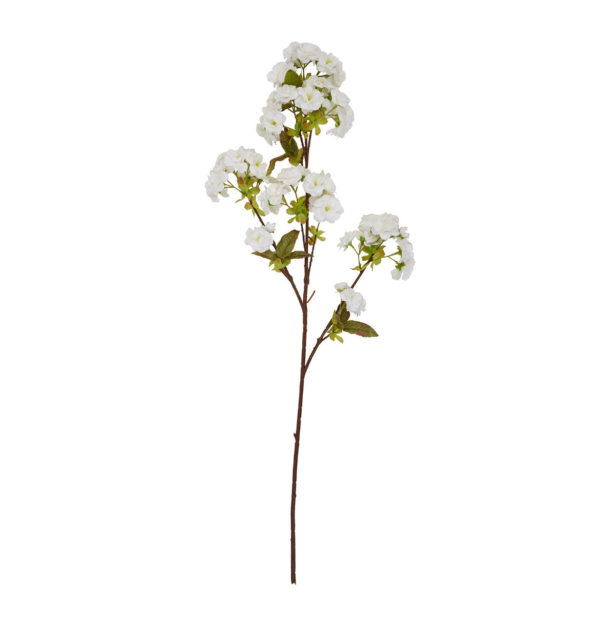 White blossom stem