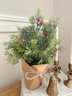 Frosted cypress with berries in pot