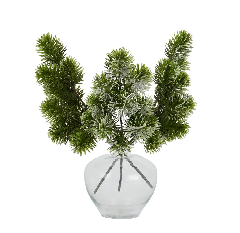 Frosted pine stem