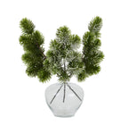 Frosted pine stem