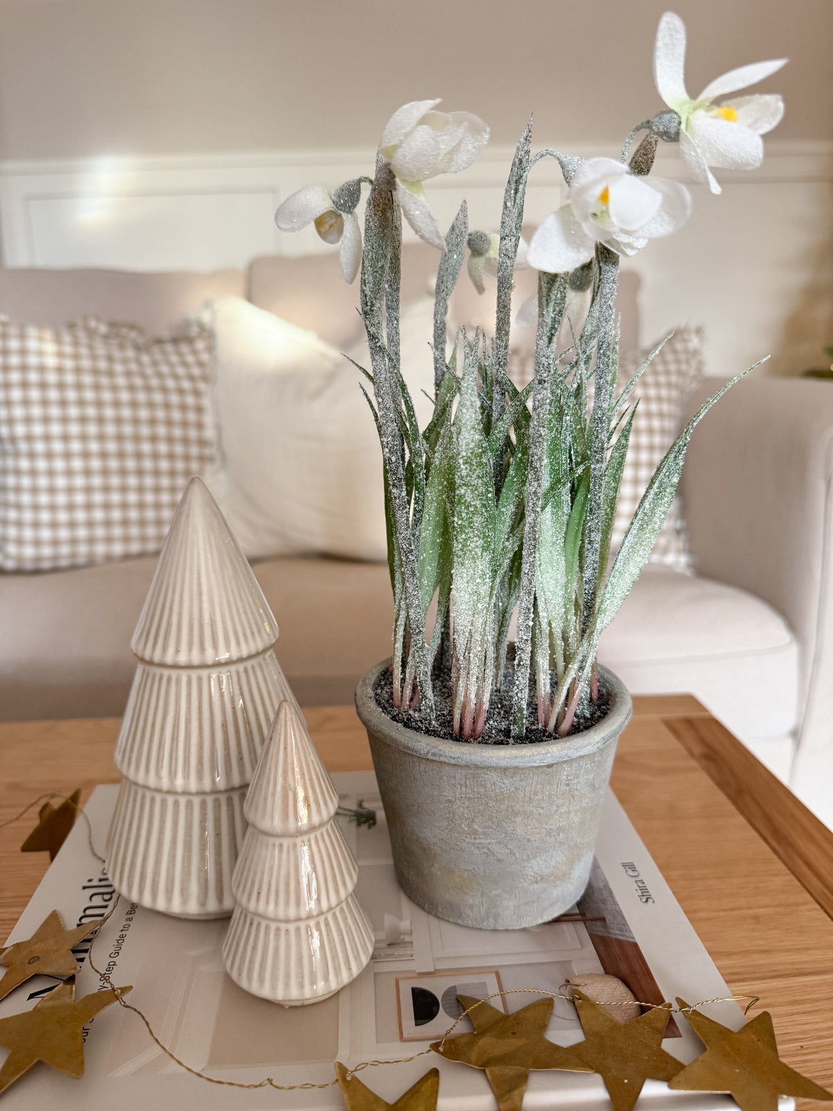 Frosted snowdrop in pot