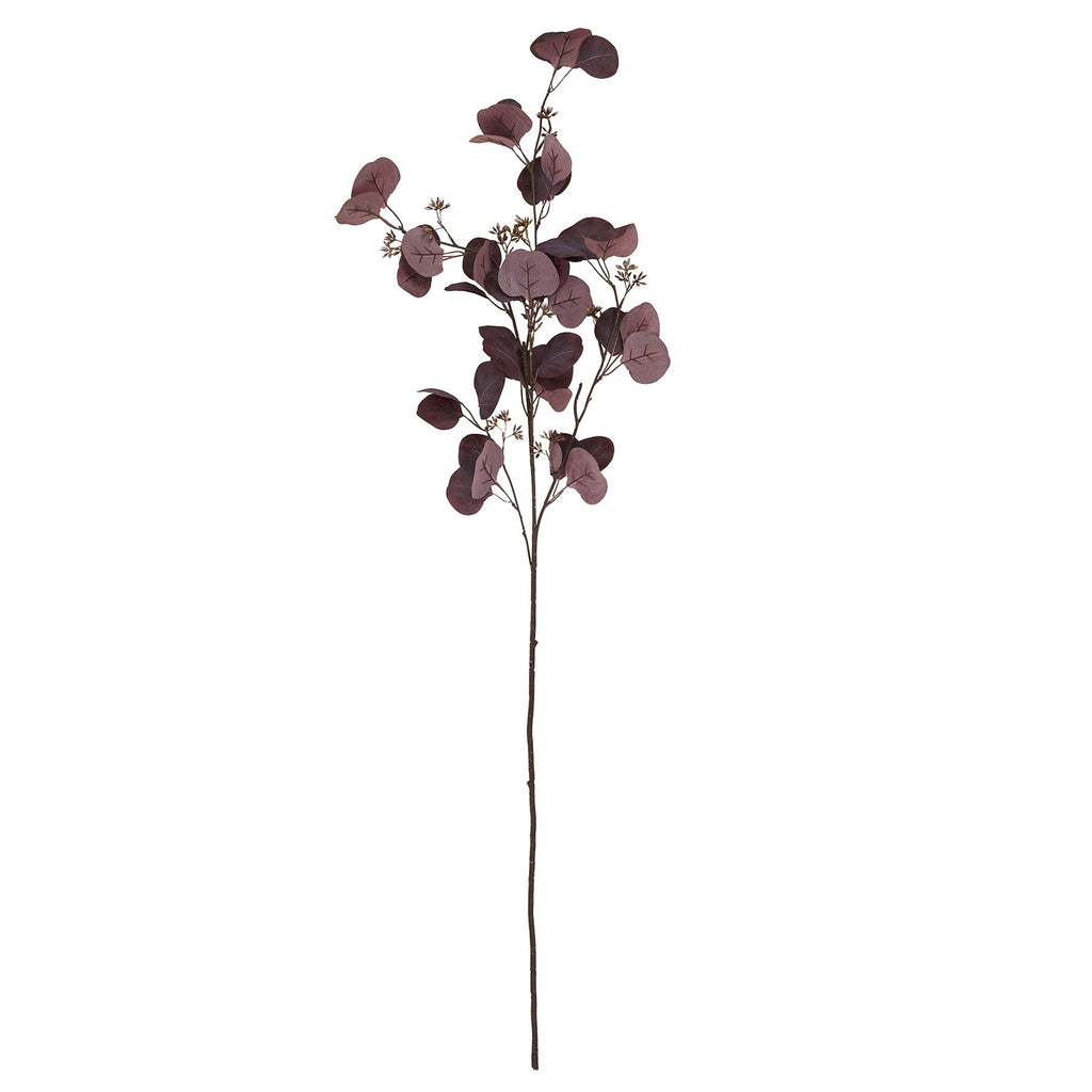 Burgundy Eucalyptus with berries