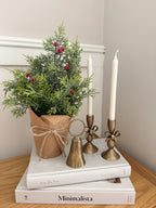 Frosted cypress with berries in pot