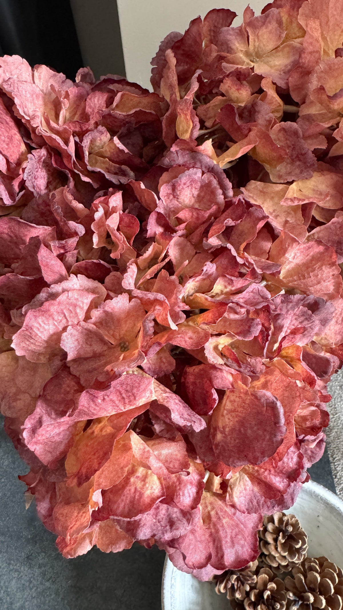 Autumnal Hydrangea stem