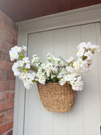 White waxflower stem
