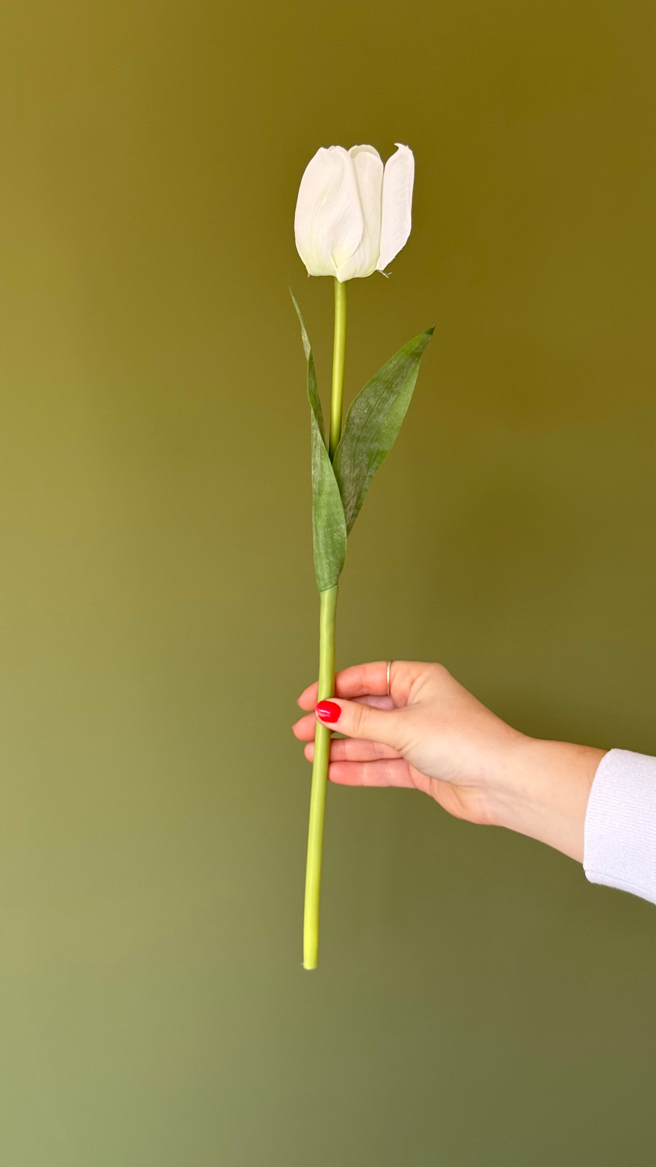 White faux tulip stem
