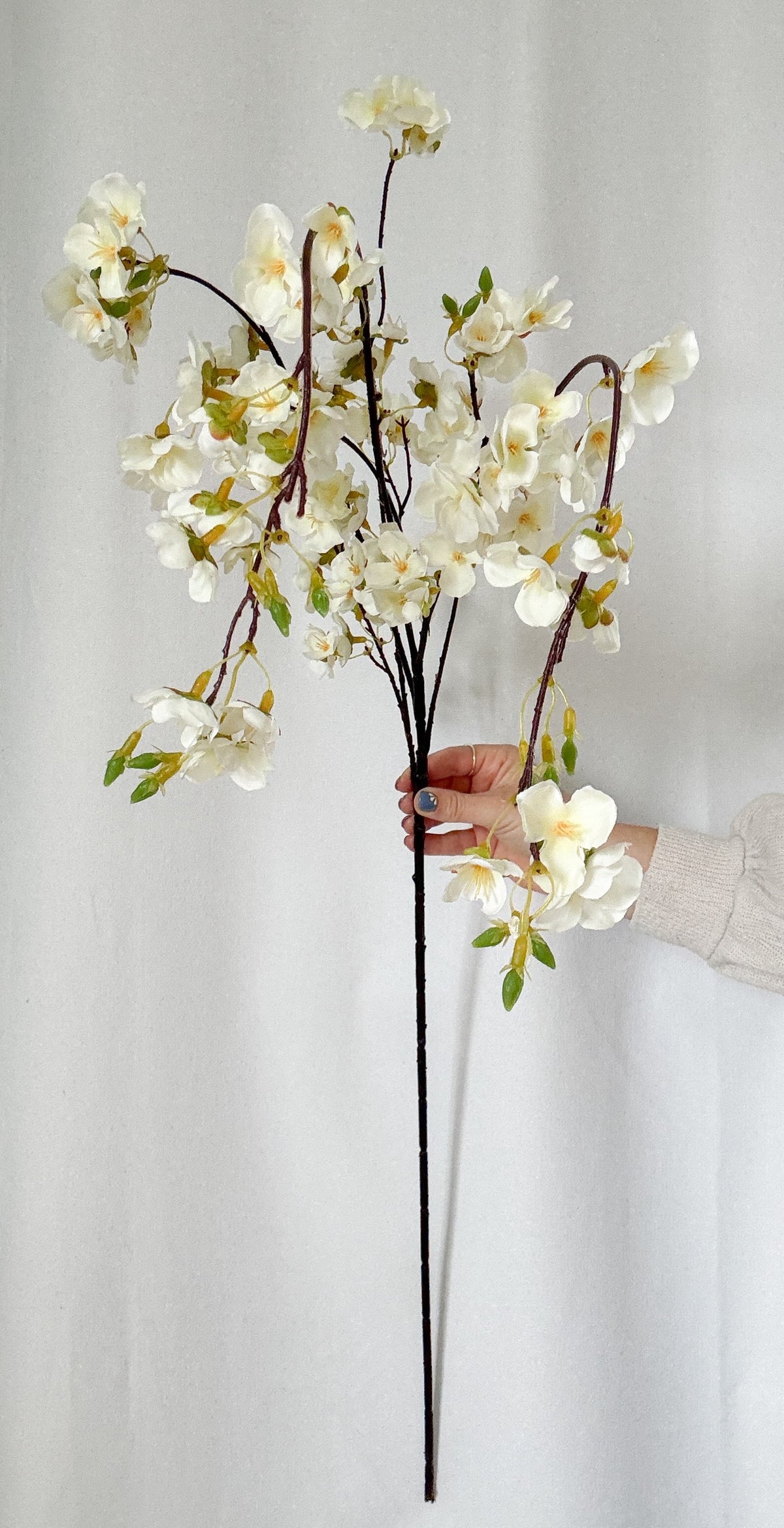 White Japanese Blossom