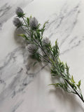 Blue thistle stem