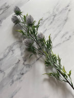 Blue thistle stem
