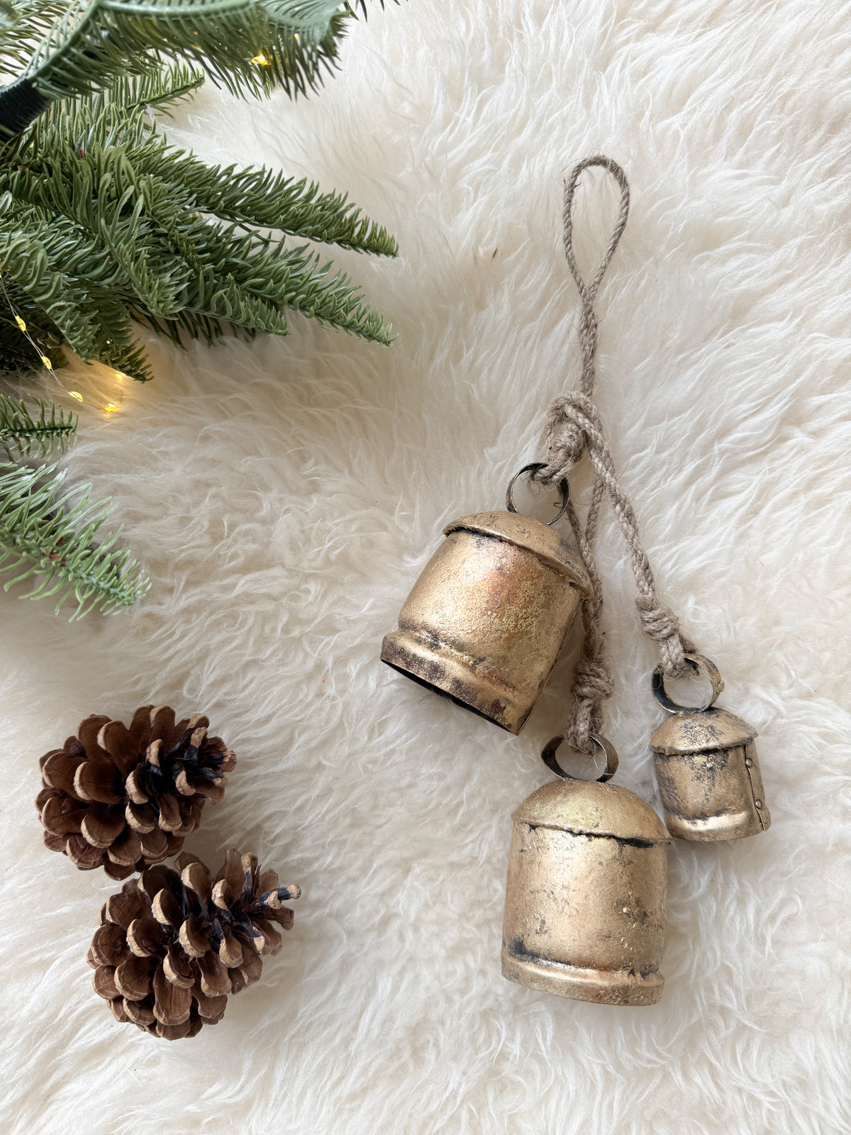 Brass cow bells set of 3