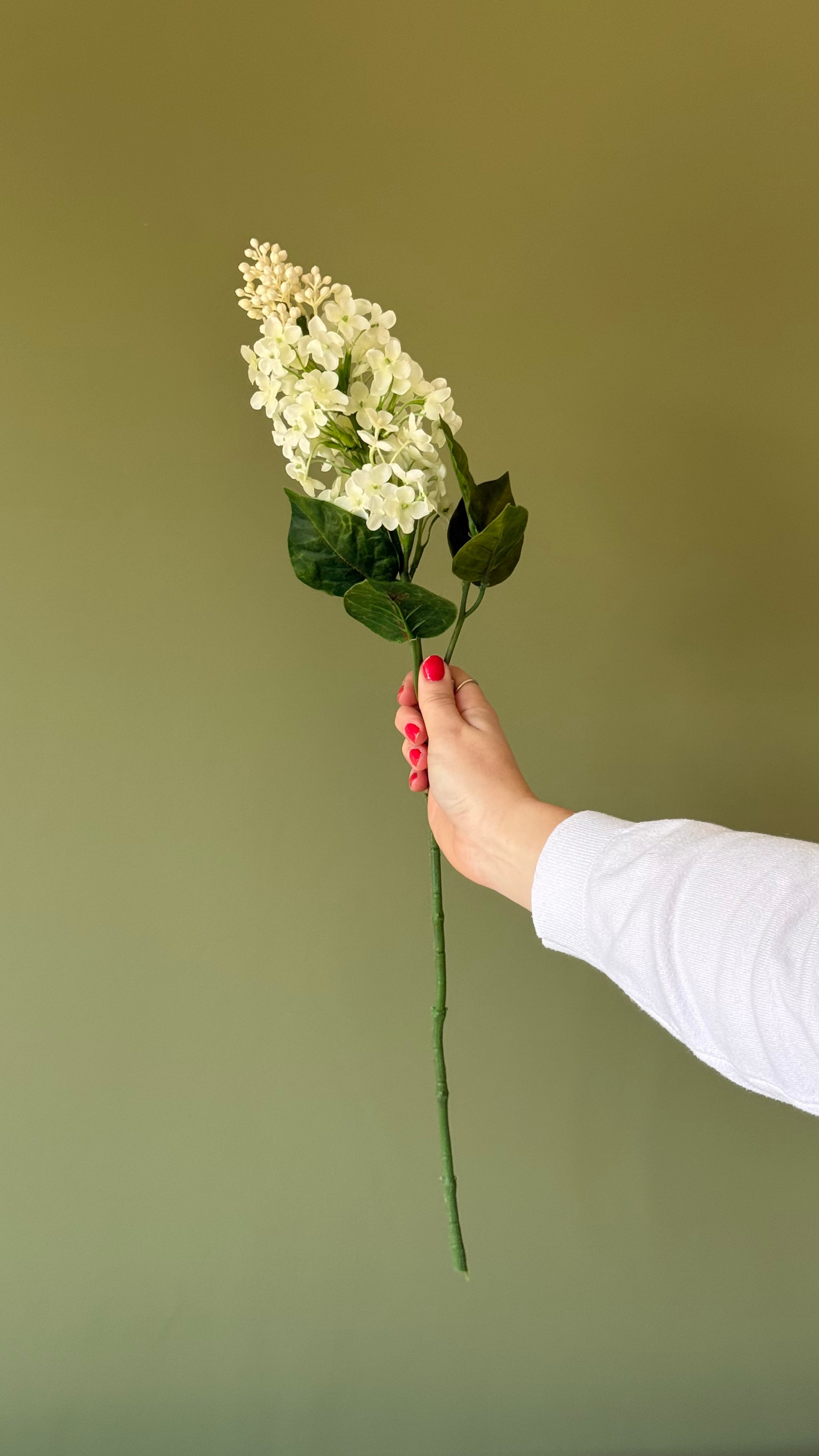 White lilac spray