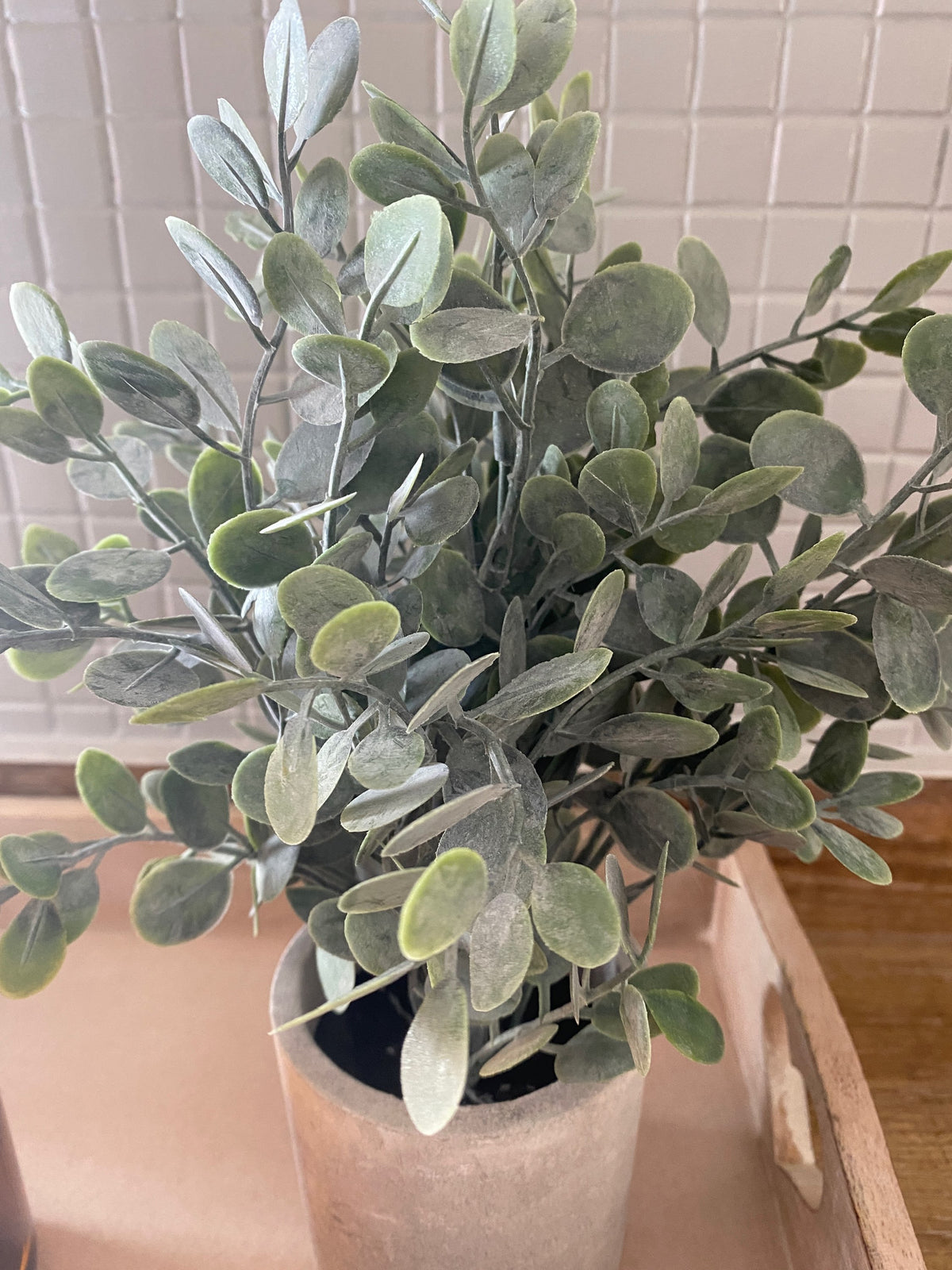 Faux Eucalyptus Pot