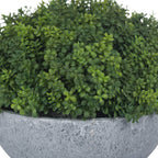 Hebe Globe Pot