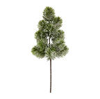 Frosted pine stem