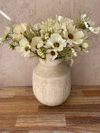 Cream cosmos spray