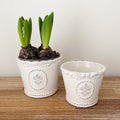 Vintage white pot, 11cm