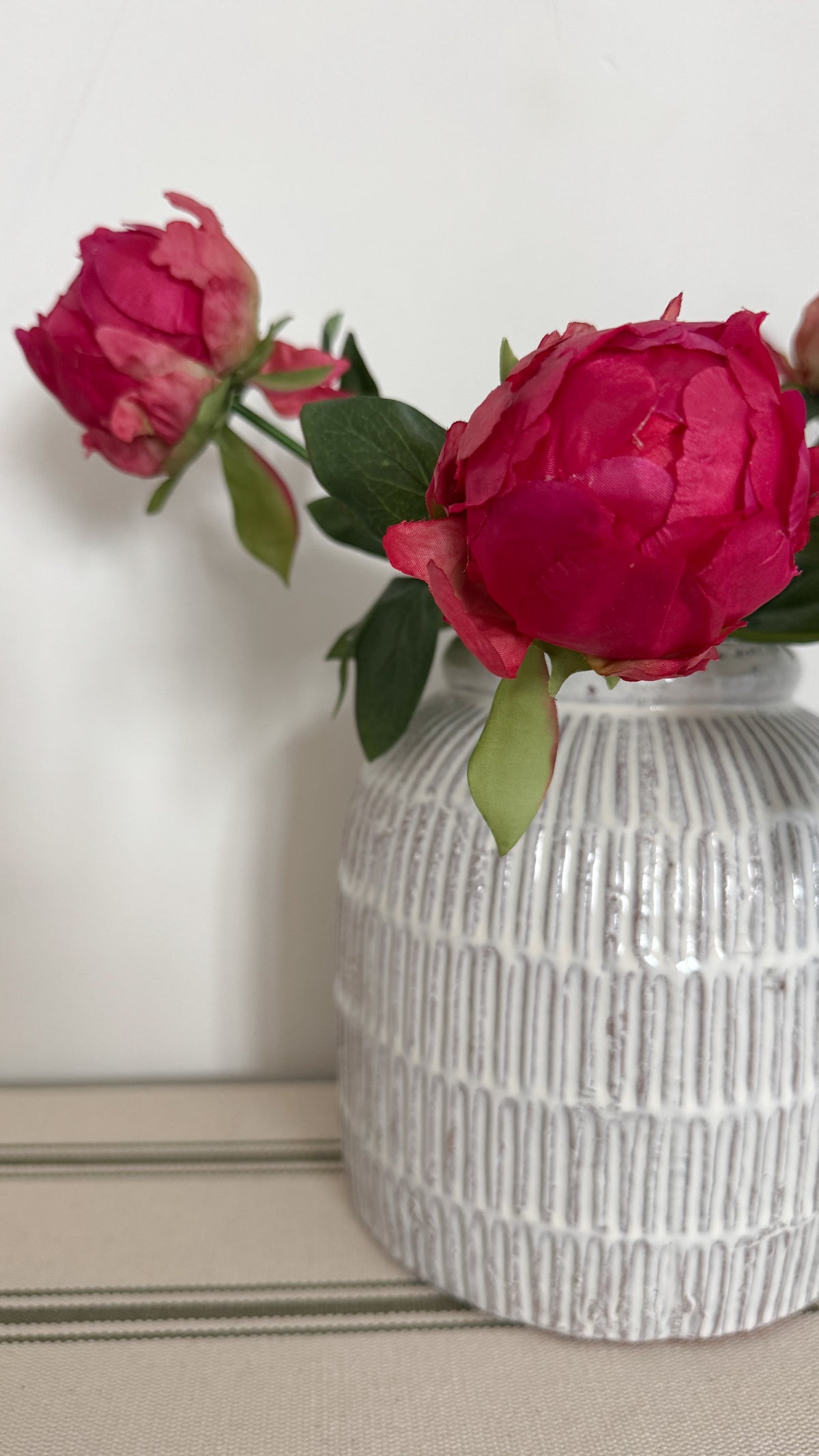 Deep pink hybrid peony bud stem