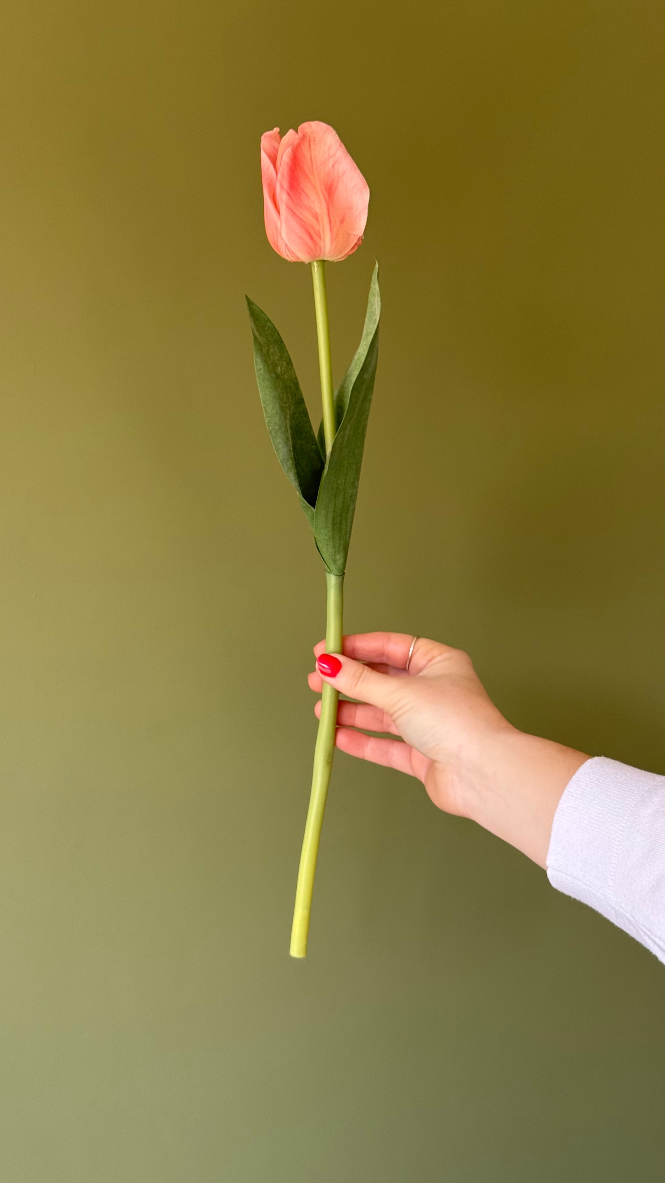 Coral faux tulip stem